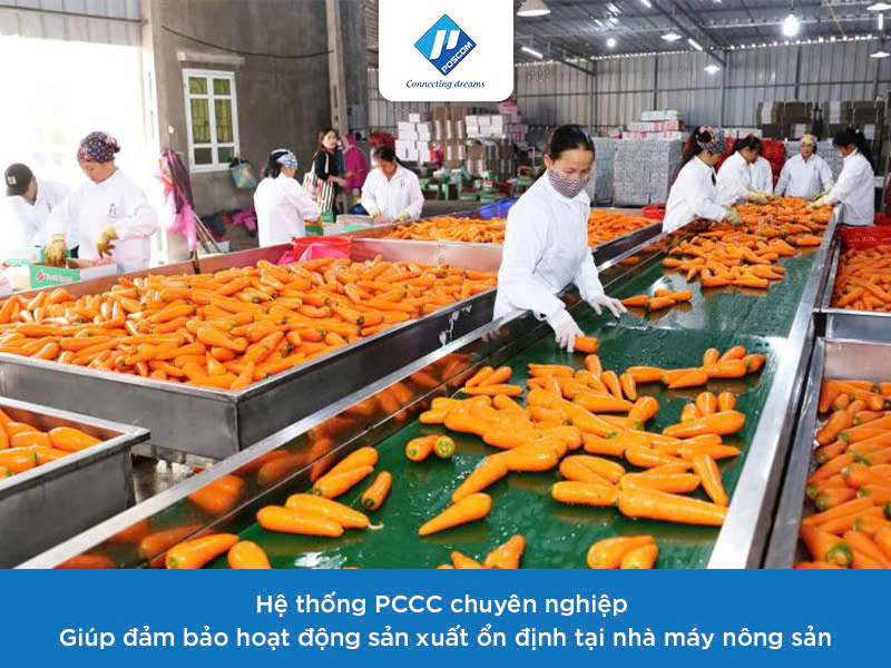 Lắp PCCC cho nhà máy chế biến nông sản