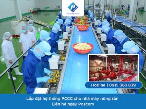 Lắp PCCC cho nhà máy chế biến nông sản